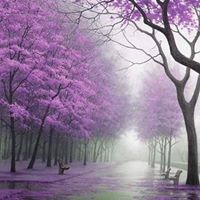 Julie Applegate Photo 33