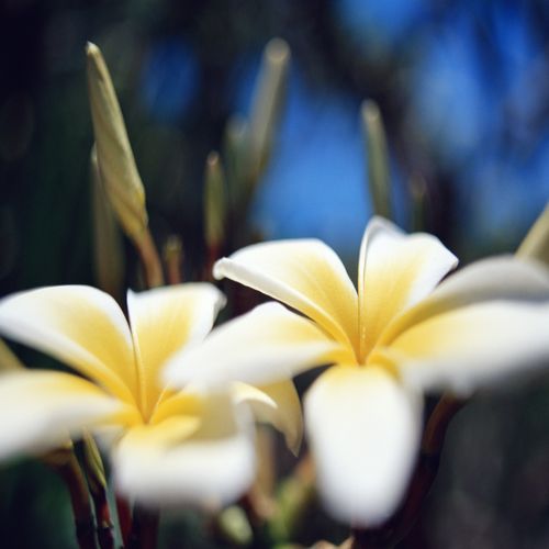 Jose Cervantes Photo 44