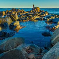 Tim Gustafson Photo 20