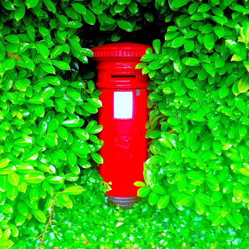 Sarah Carmody Photo 21