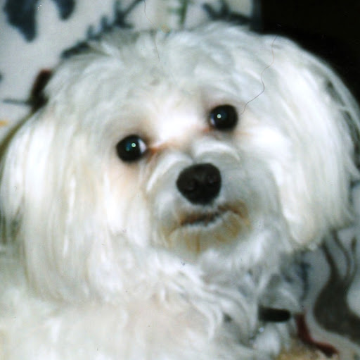 Jill Andrews Photo 38