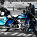 Henrietta Harley Photo 3