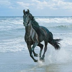 Kathy Caldwell Photo 28