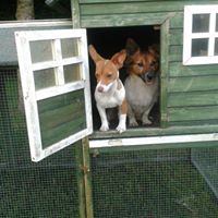 Helen Leahy Photo 29