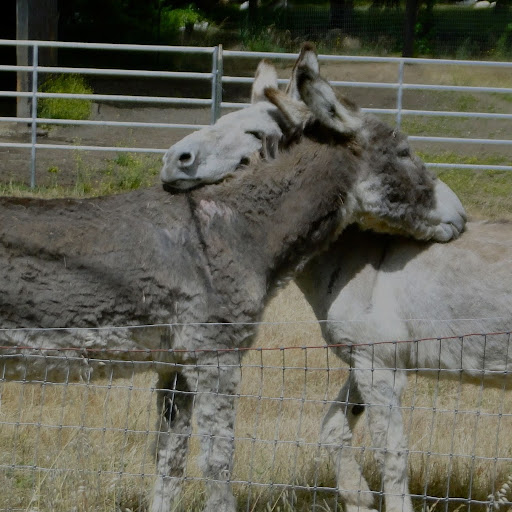 Adrienne Kirschner Photo 3