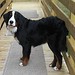 Caitlin Johnson Photo 22