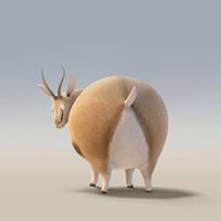 Randy Nguyen Photo 25