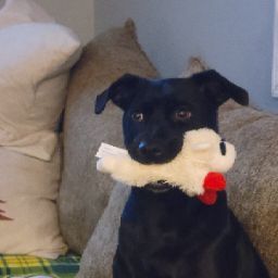 Sean Somers Photo 33