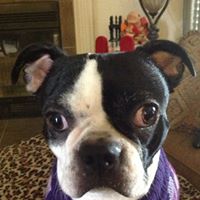 Jessica Newlin Photo 17