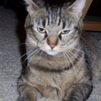 Janet Weatherly Photo 6