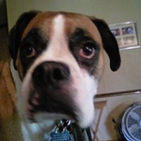 Caroline Howe Photo 15