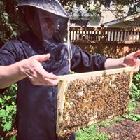 David Meier Photo 24