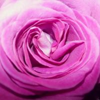 Rachel Dumas Photo 17