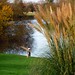 John Shillingford Photo 5