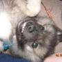 Tonya Atkins Photo 19