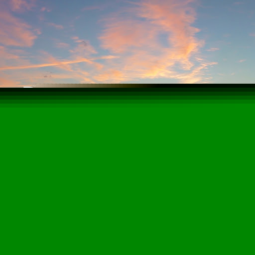 David Kaufman Photo 17