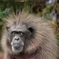 Ben Jenkins Photo 19