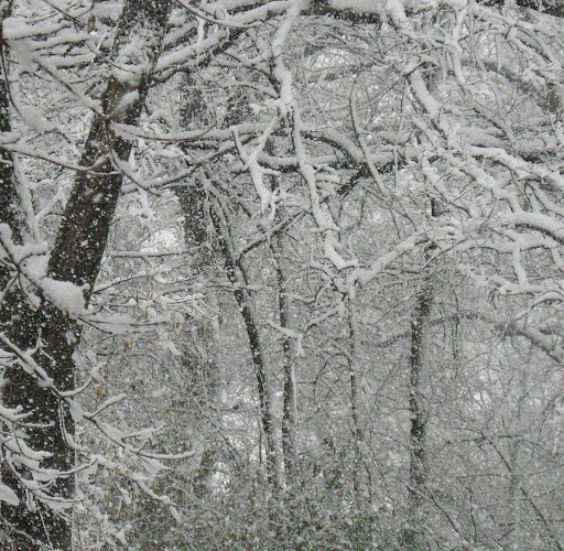 Linda Crawford Photo 22