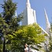 Clifford Temple Photo 5