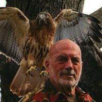 Robert Saunders Photo 40