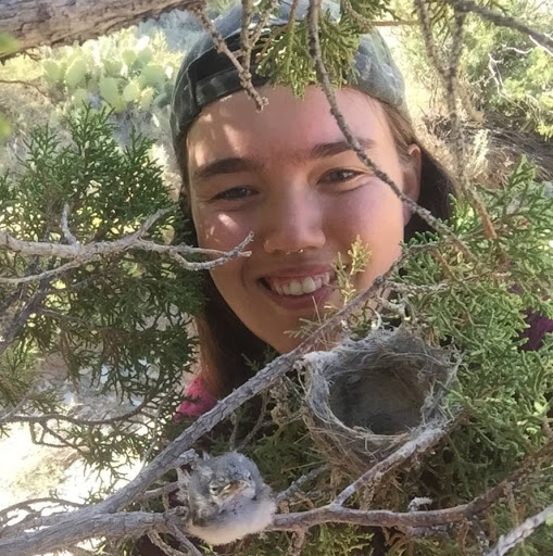 Sarah Fischer Photo 5