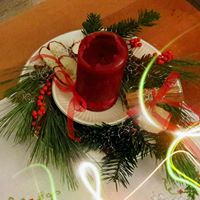 Stephanie Holly Photo 24