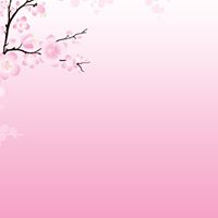 Ying Cheung Photo 16