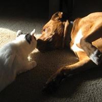 Samantha Tackett Photo 26