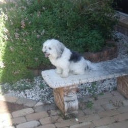 Lester Hendrickson Photo 4