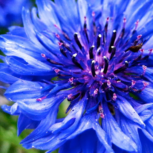 Debbie Hale Photo 20