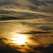 Andrew Parks Photo 13