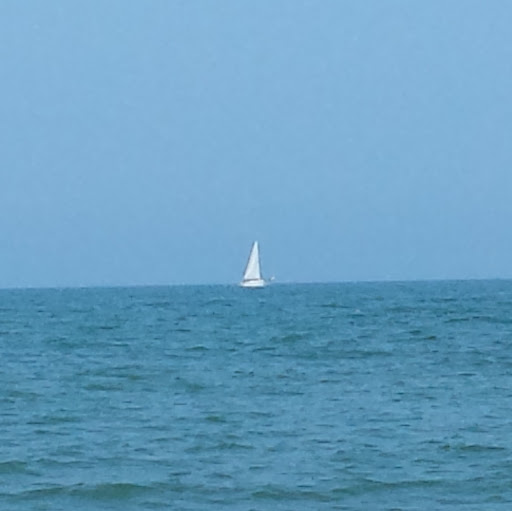 Annette Howard Photo 28