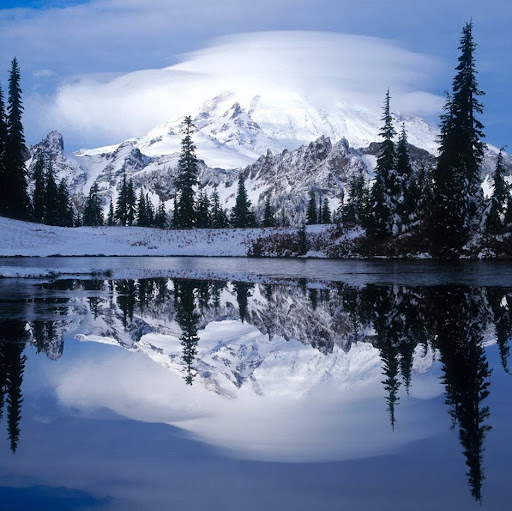 David Martens Photo 23