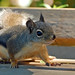 Douglas Stanley Photo 15