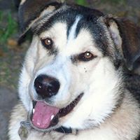 Nancy Colby Photo 17