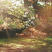 Ray Pickering Photo 6