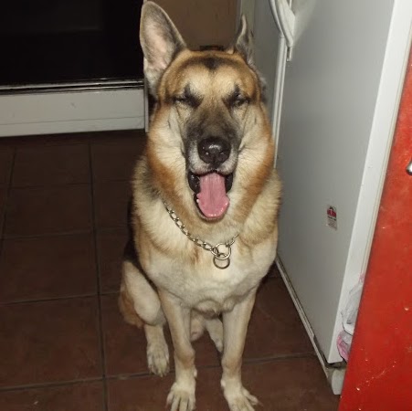 Stacy Reynolds Photo 20