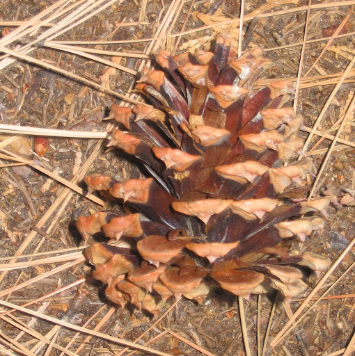 Vicki Caldwell Photo 33