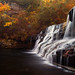 Lori Mills Photo 5