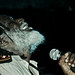 Le Johnson Photo 13