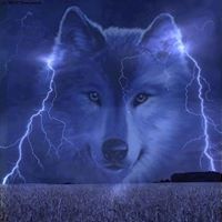 Maryann Steiner Photo 8