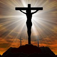 Mathew Lucas Photo 4