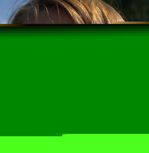 Sallie Harris Photo 22