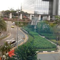 Charles Lyons Photo 26