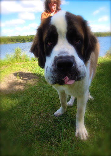 Sherry Brock Photo 10