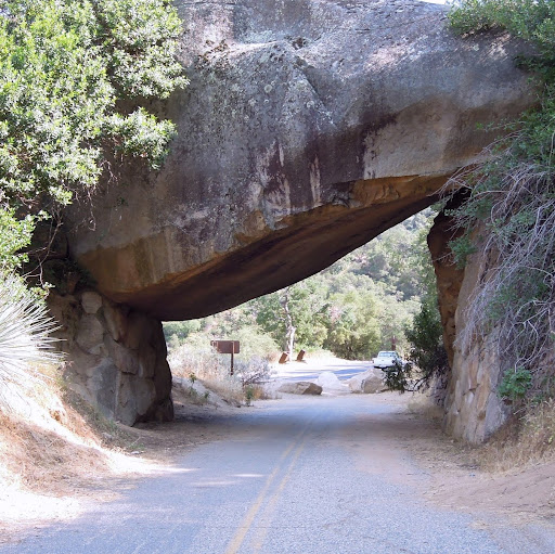 Jennifer Holden Photo 33