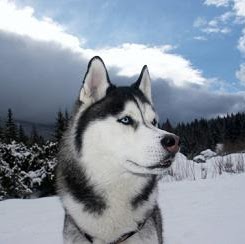 John Manzano Photo 6