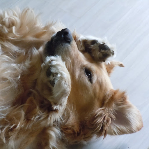 Bill Osborne Photo 23