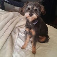 Stacy Moody Photo 14