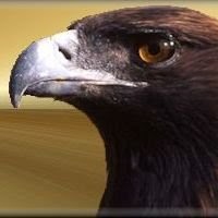 Tracey Benson Photo 17